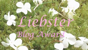 blog award 1