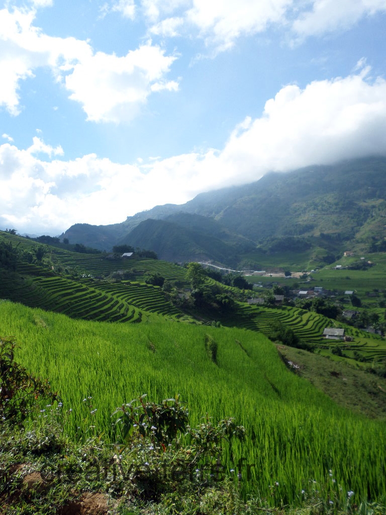 SAMSUNG CAMERA PICTURES