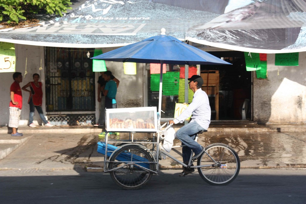 IMG_8395