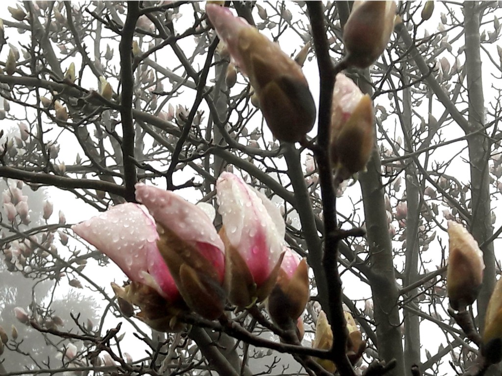 20170406_124834