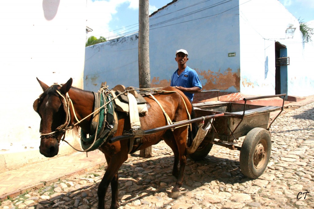 cuba avril 09 446