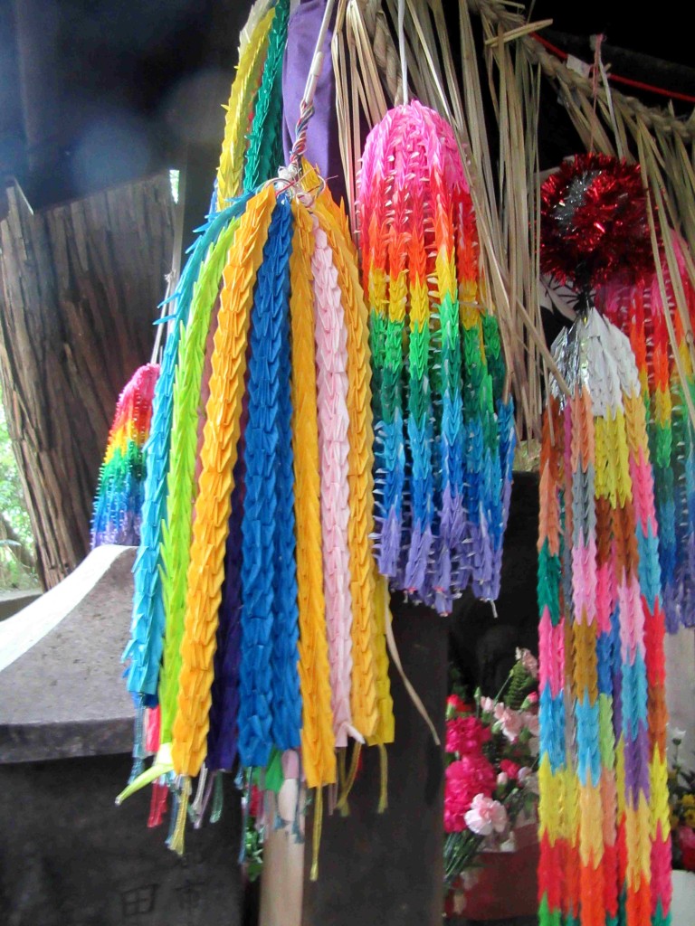 IMG_6460